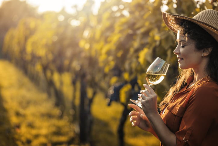 Cata de vinos